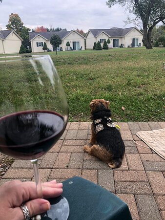 Skaneateles Boutique Hotel主图