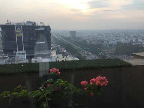 印多尔丽笙酒店主图