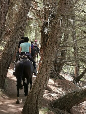 麦肯西高山骑马之旅－一日游景点图片
