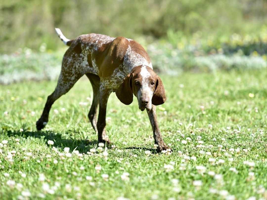 Buffelsdam Country House主图