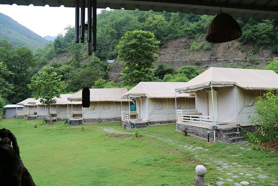 Banyan by the Ganges主图