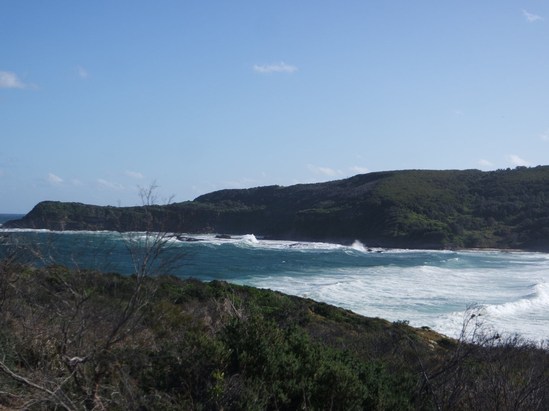 Wallarah National Park景点图片