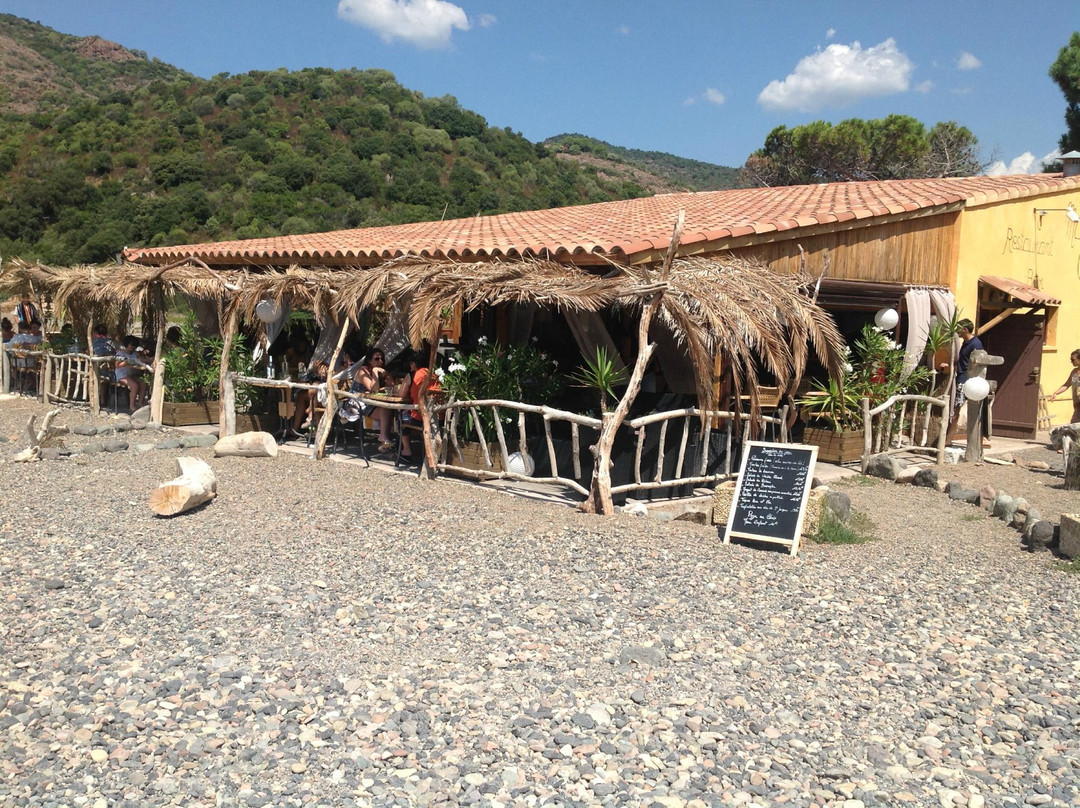 Partinello餐馆和美食-Le Mare Chiare