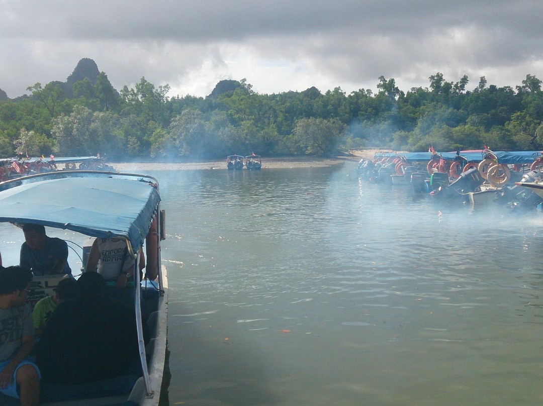 Langkawi Mangrove Tour - Day Tours景点图片