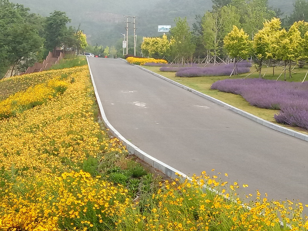 滨海路景点图片