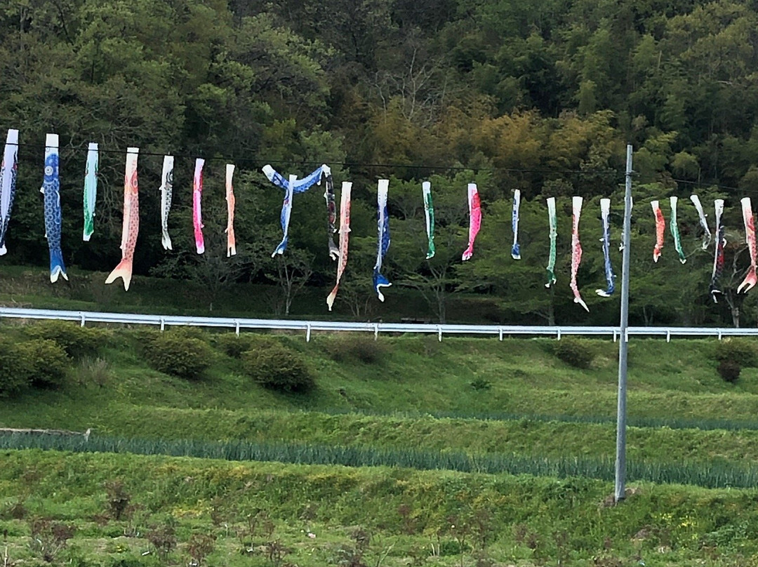 Nagatani Botan Garden