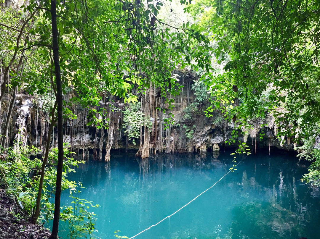 Cenote Yokdzonot景点图片