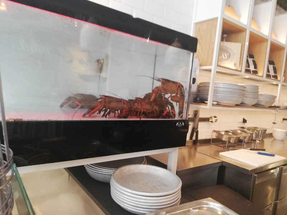 The Sea Food Shop主图