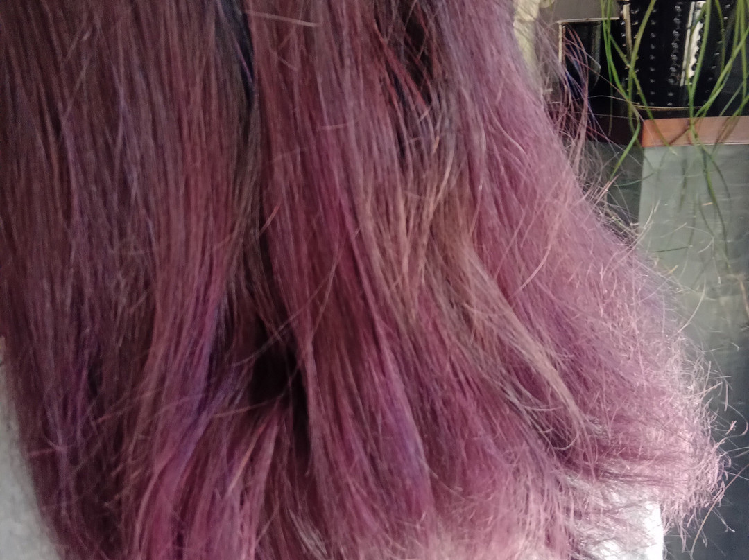 Paramytha旅游景点-Medichic Center