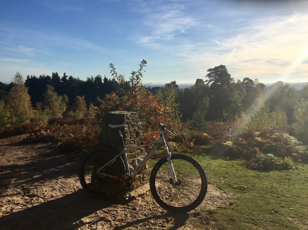 Surrey Hills Cycle Hire景点图片