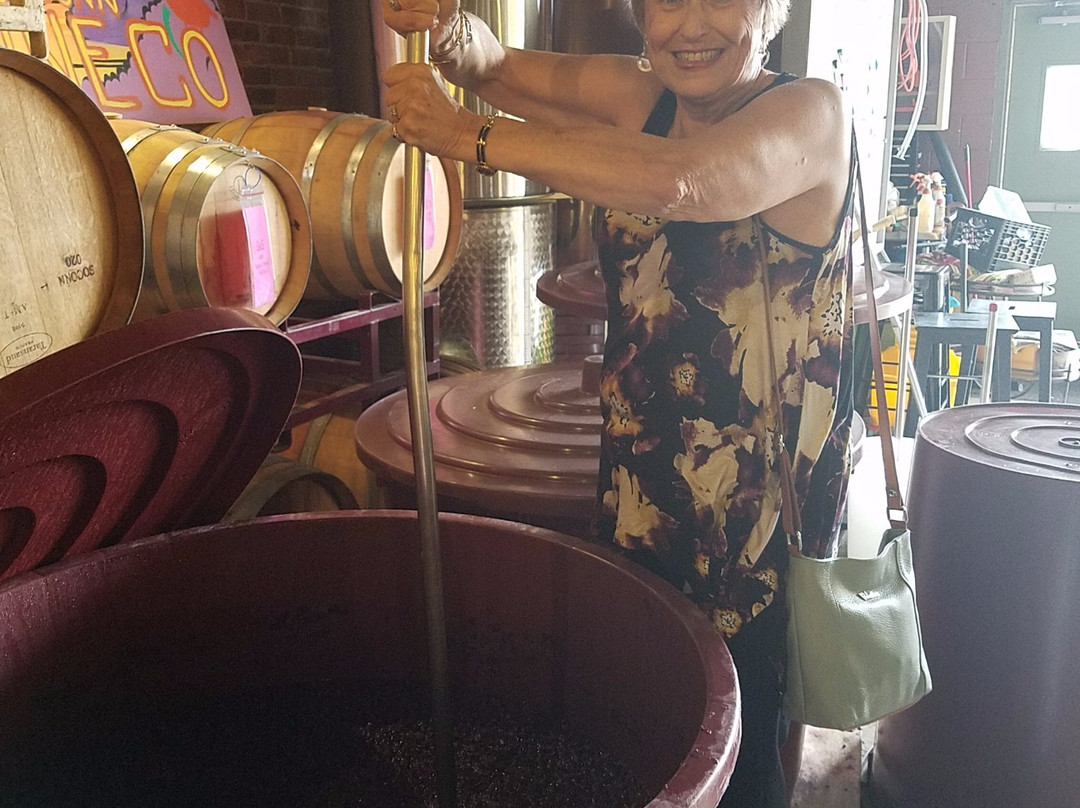 Northford旅游景点-The Southern Connecticut Wine Co.