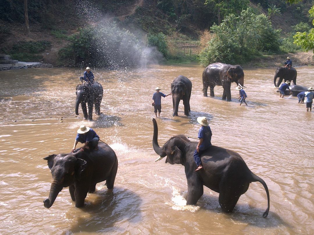 Thai Unique Tour-清迈必去景点