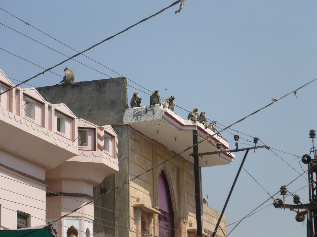 Pushkar Main Market景点图片