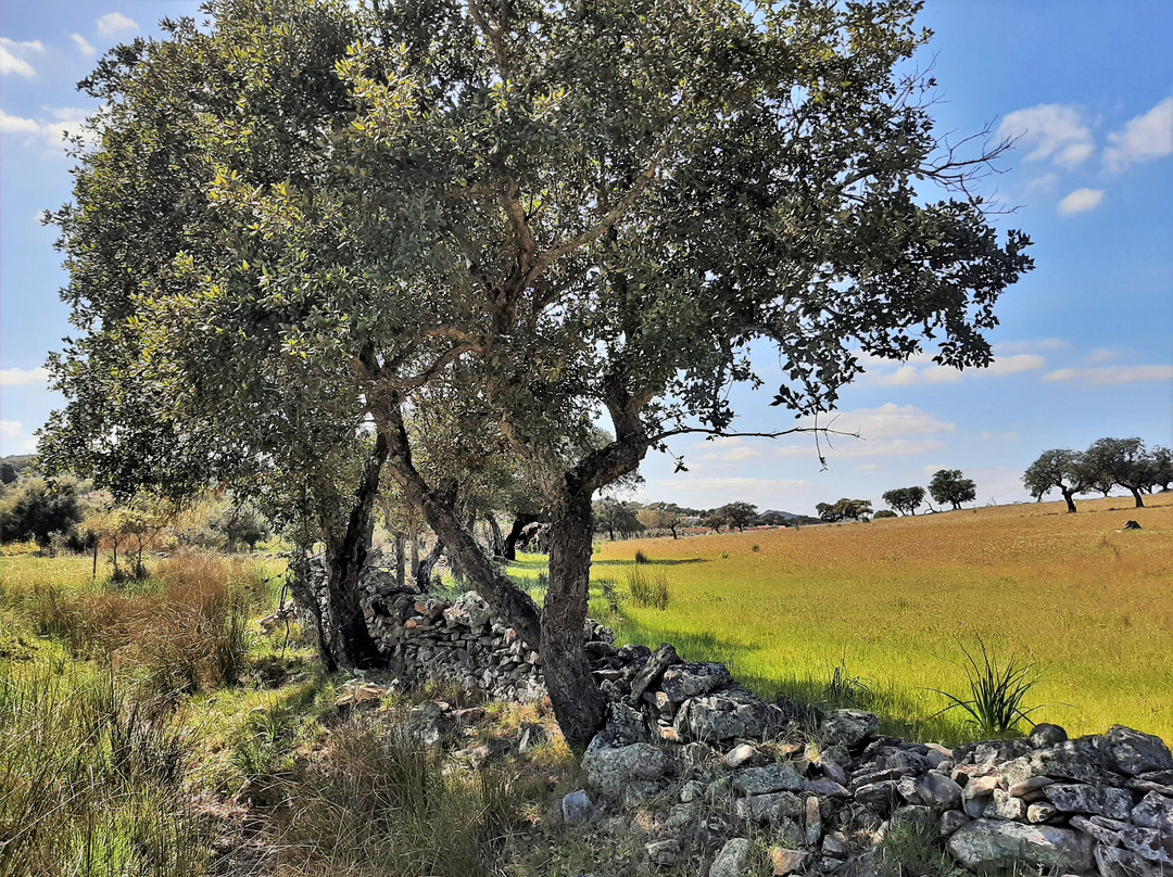 Pr1 Arr Esperança Trail