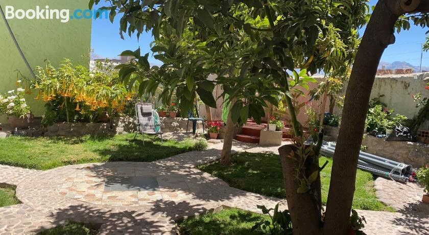 Las Palmeras Eco Hostel主图