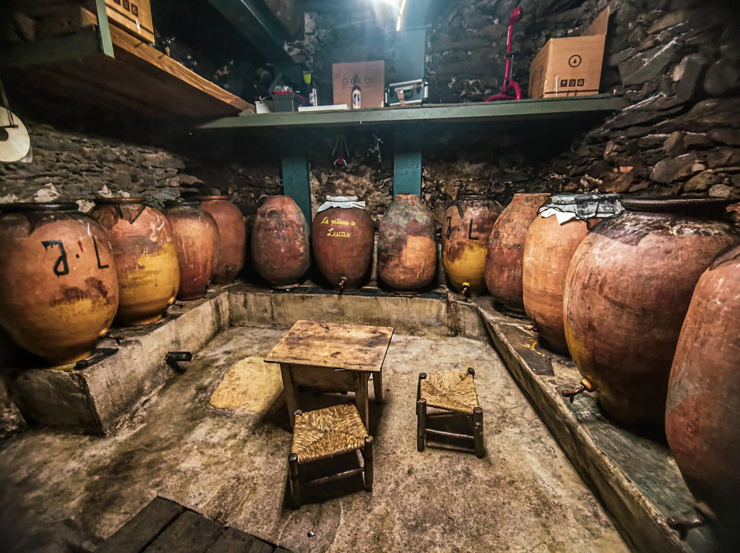 La Bodega de Lucas  Oleosetin景点图片