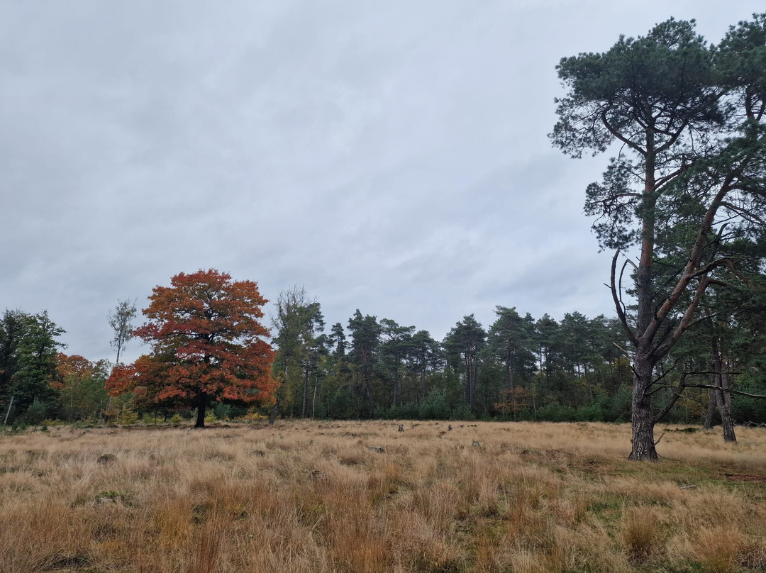Bospark De Eendracht