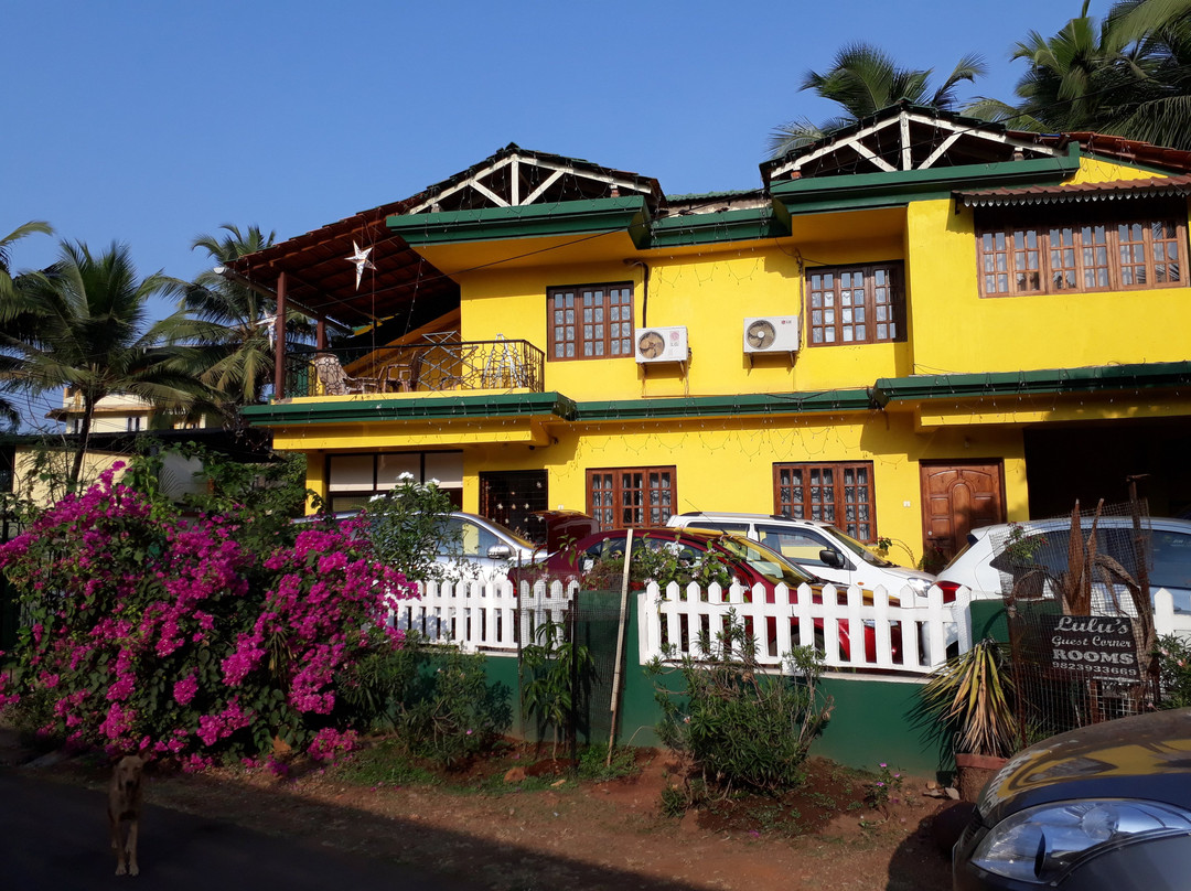 Lulus Guest Coner