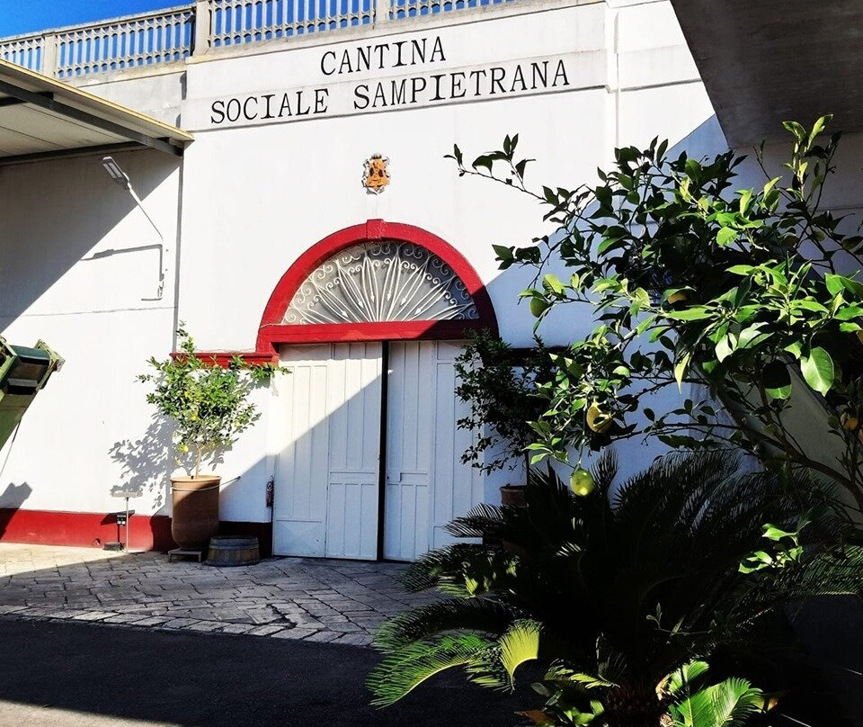 Cantina Sampietrana景点图片
