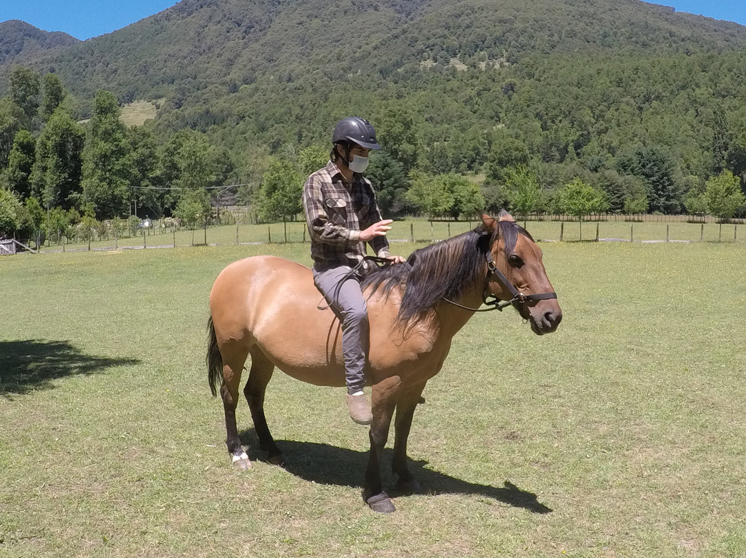 Lago Villarrica-普孔必去景点