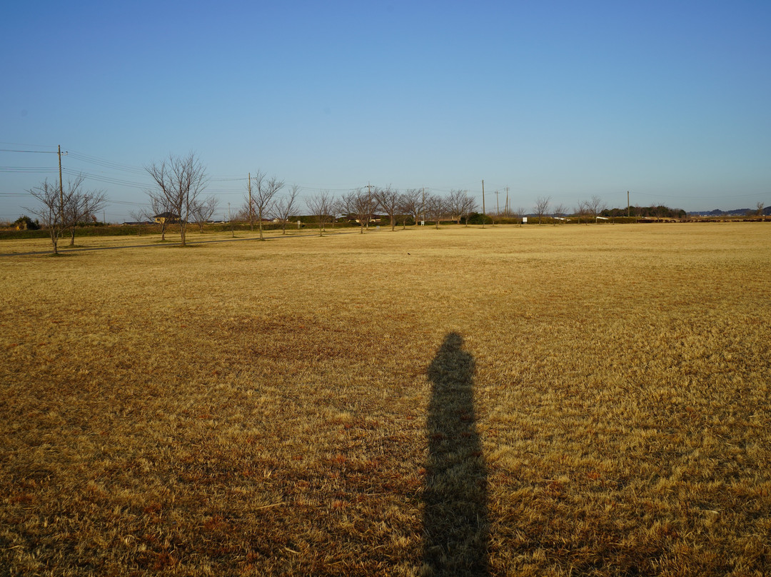 Ushikunumamizube Park景点图片