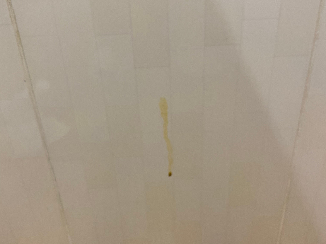 论坛商务酒店主图