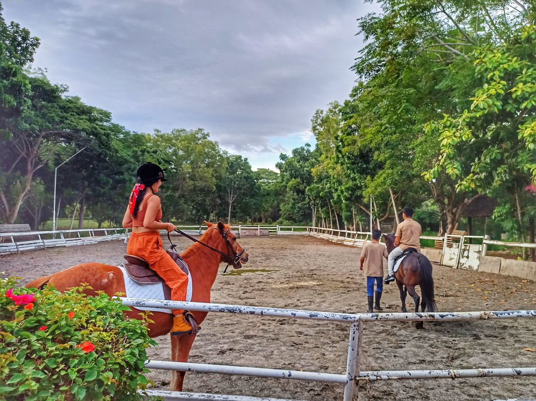 眼镜猴植物园别墅主图