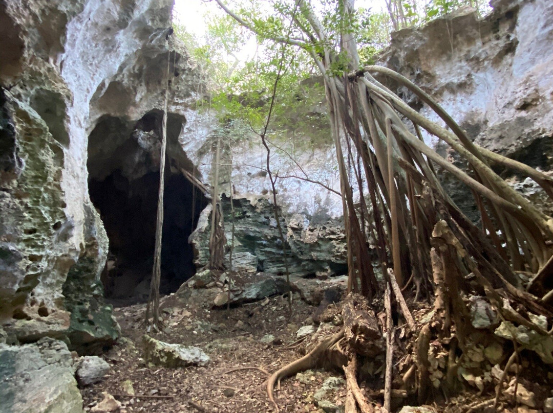 Cathedral Cave (Spider Cave)景点图片