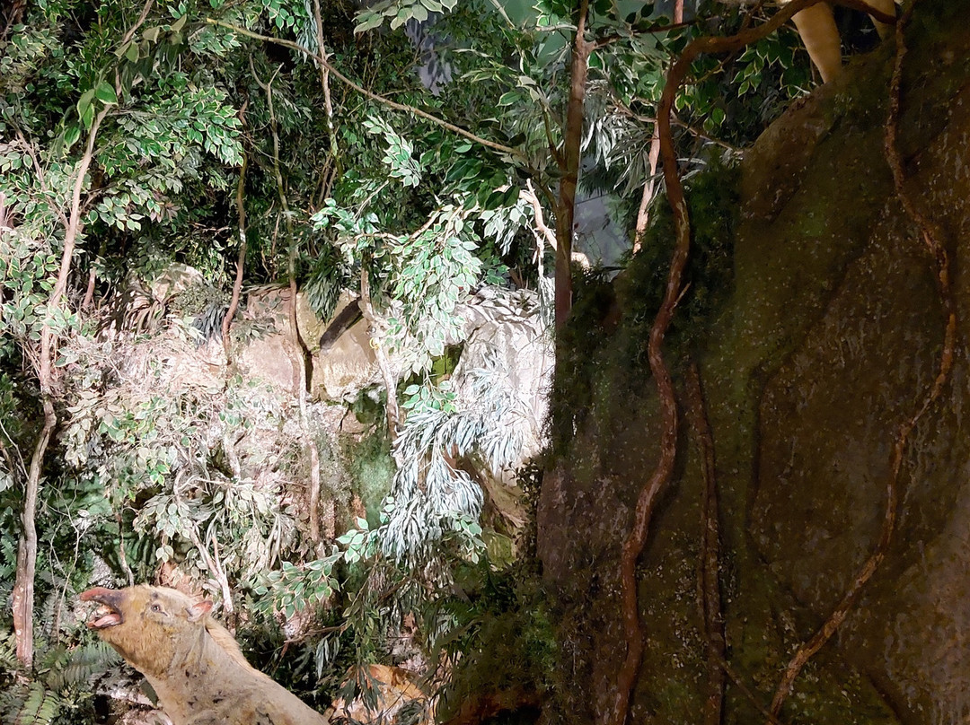 Wonambi Fossil Centre-Naracoorte必去景点
