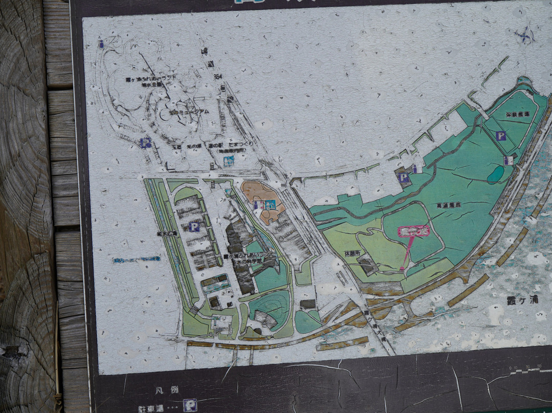 Takasuzaki Park-行方市必去景点