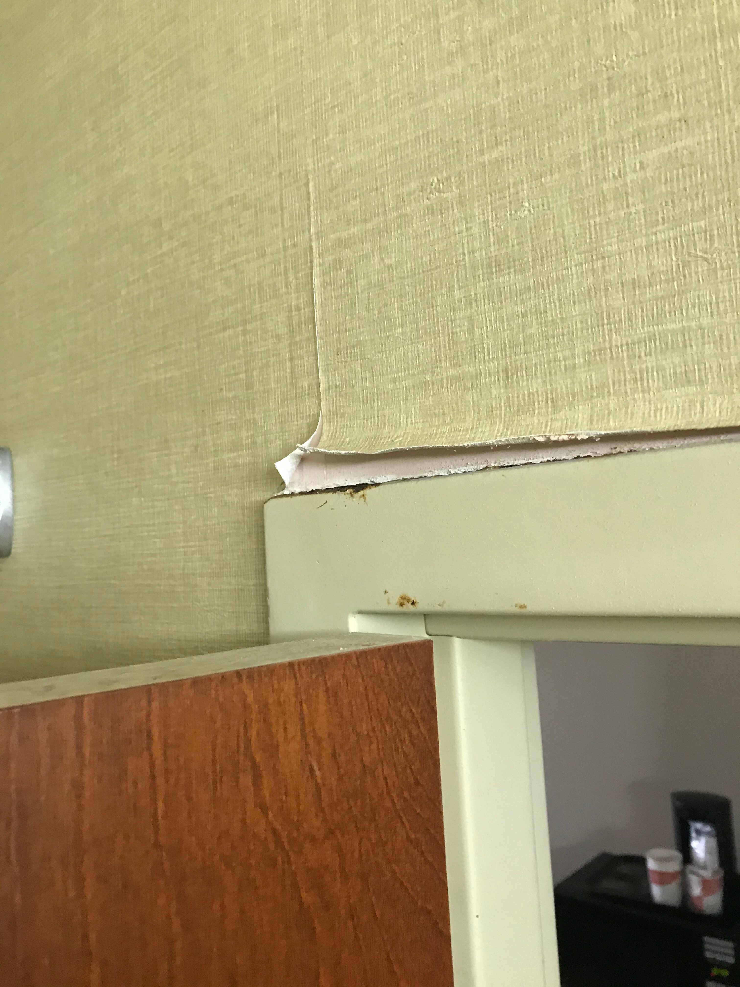Comfort Inn Powell - Knoxville North-官方