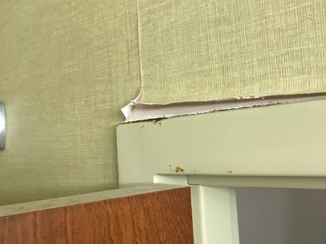 Comfort Inn Powell - Knoxville North主图