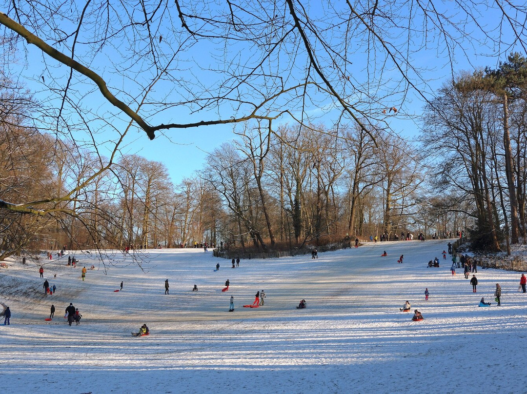 Parc de Wolvendael-于克勒必去景点
