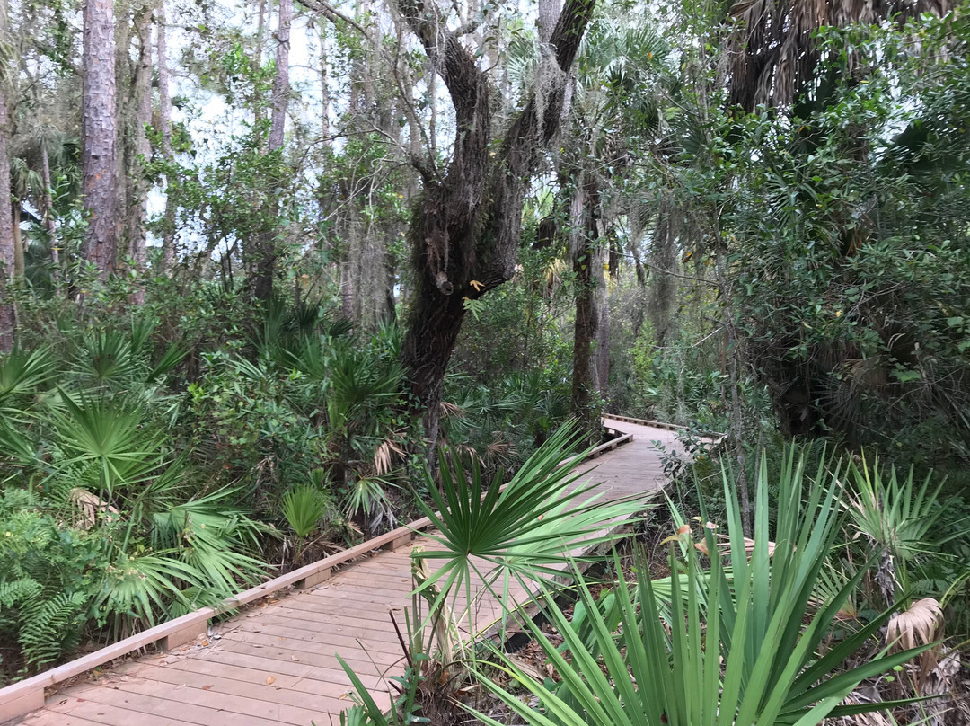 Caloosahatchee Creeks Preserve East-North Fort Myers必去景点