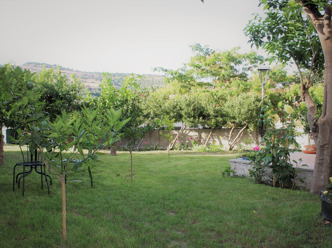 Il Giardino Degli Aranci主图