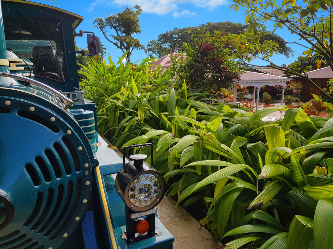 Basse-Terre Island旅游景点-Jardin Botanique de Valombreuse