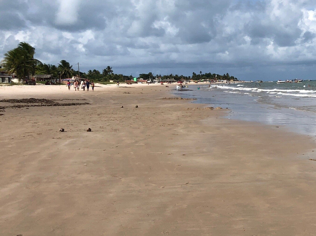 Pitimbu Beach景点图片
