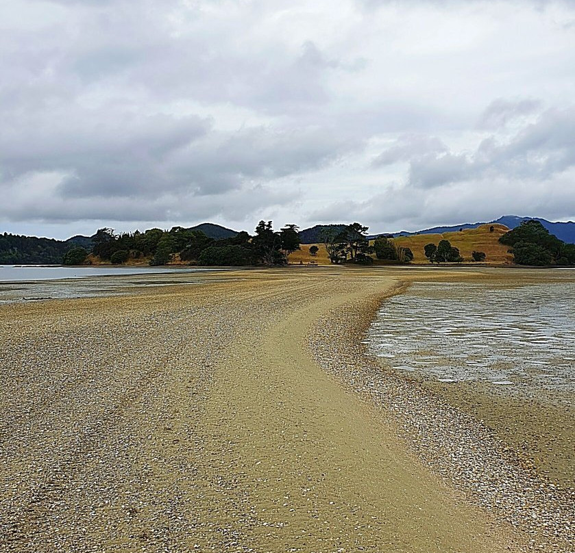 Motukiore Island-Whangarei Heads必去景点