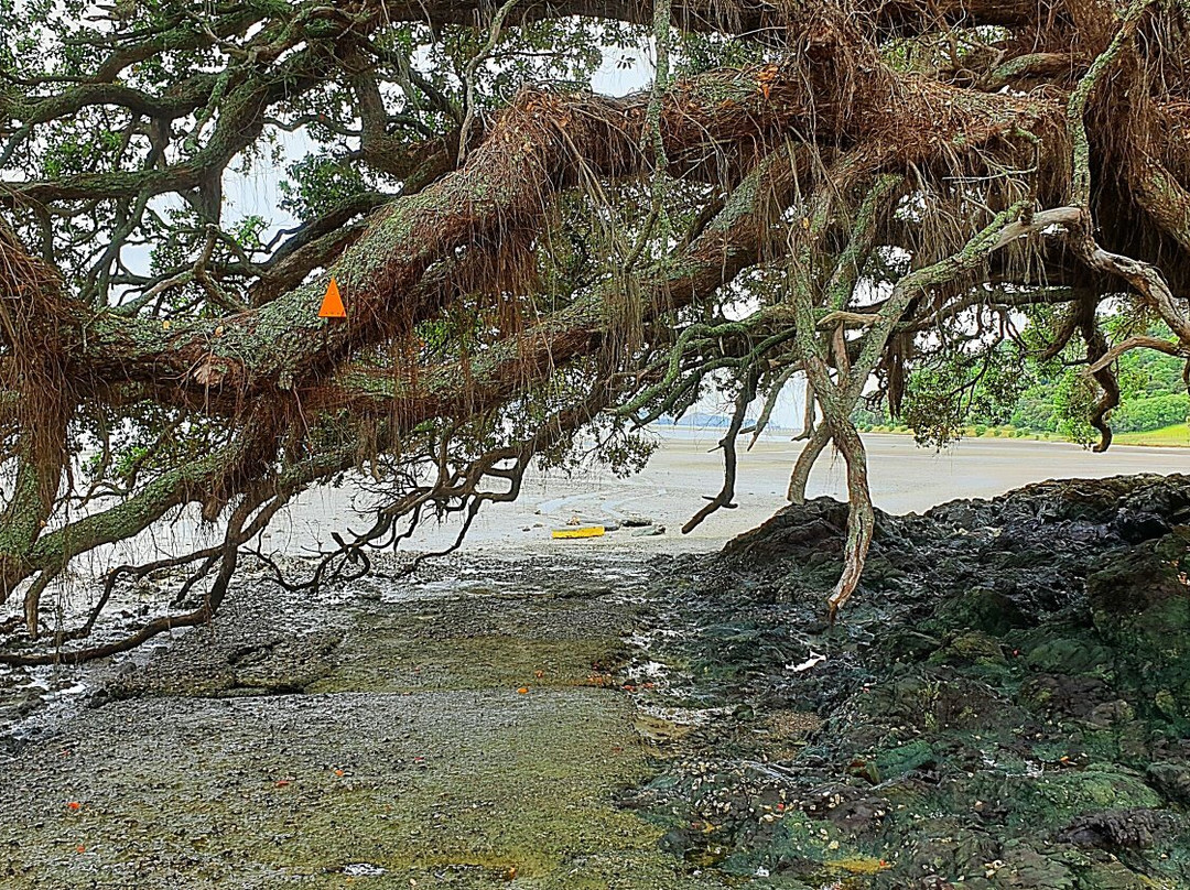 Motukiore Island-Whangarei Heads必去景点