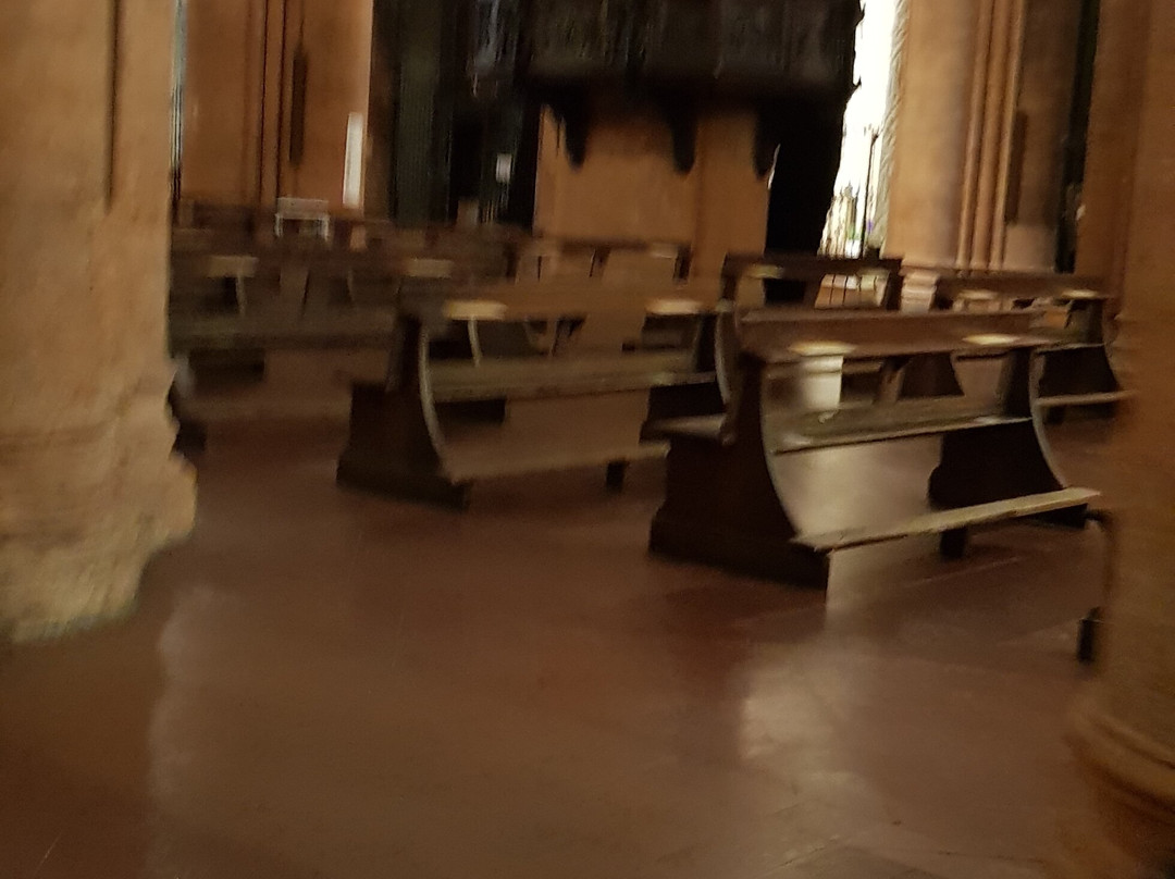 Chiesa di Santa Maria del Carmine-帕维亚必去景点