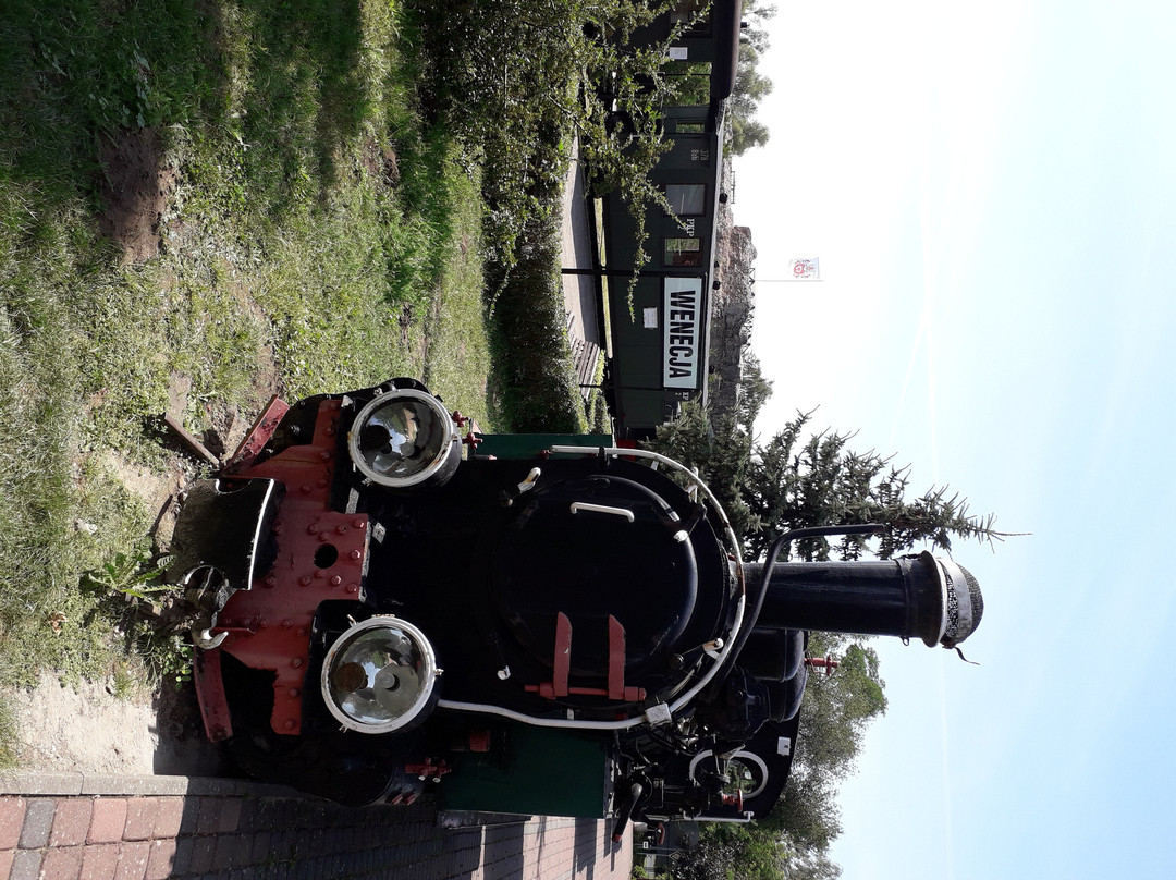 Narrow Gauge Railway Museum景点图片