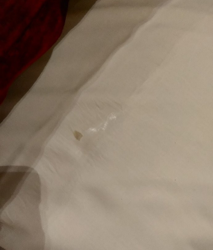 Motel Los Penascales主图