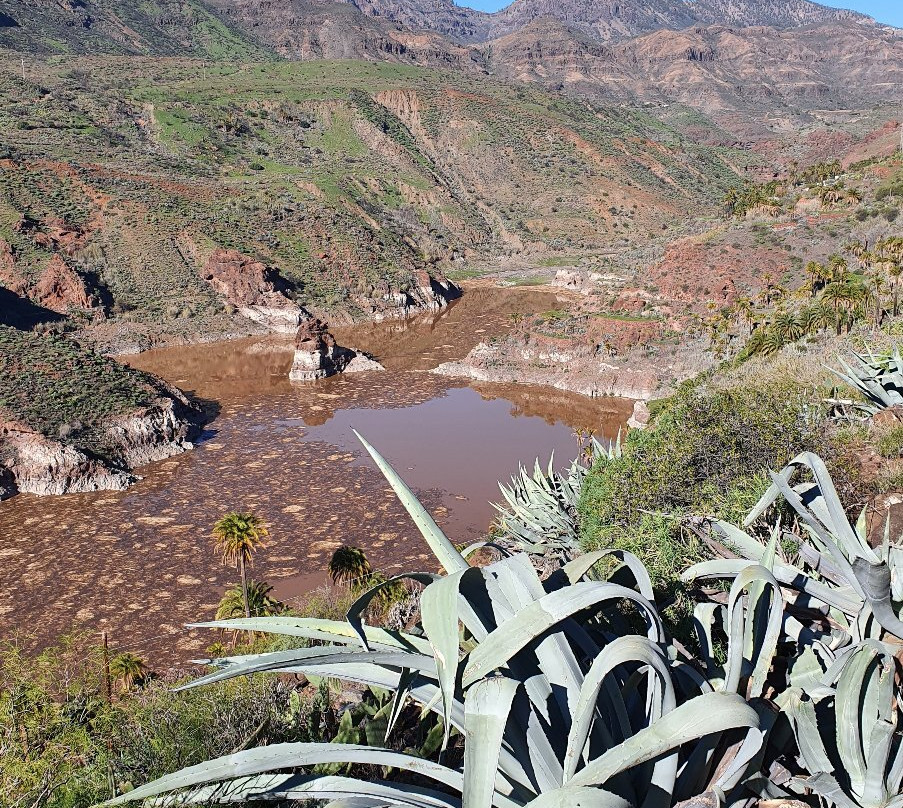 Mirador La Sorrueda景点图片