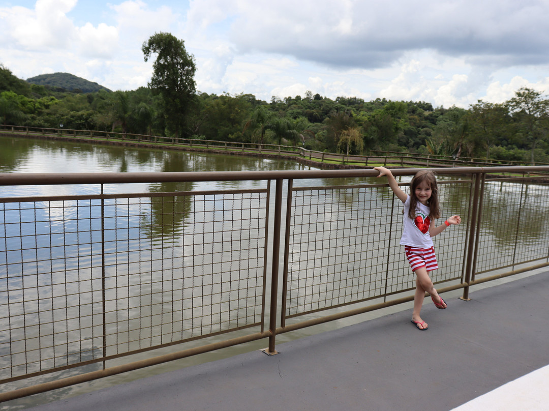 Maestro Termas Park Hotel主图