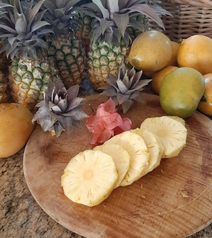 艾伦湾旅馆主图