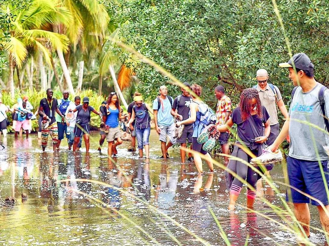 Association Afric Art-阿比让必去景点