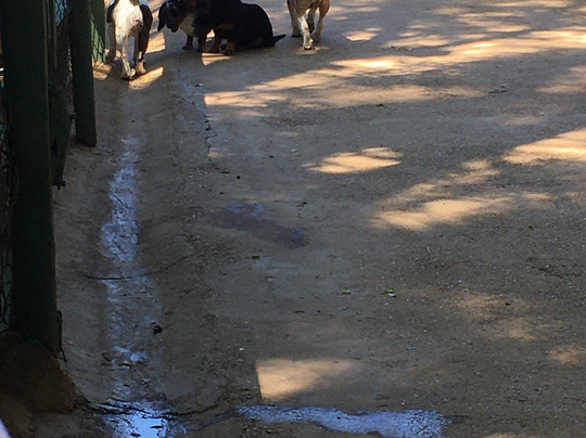 Fazenda Angolana-Canguera必去景点