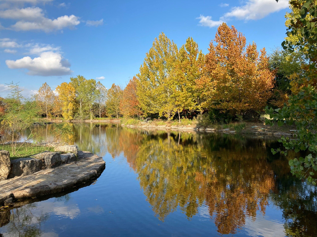 Clark Gardens Botanical Park景点图片