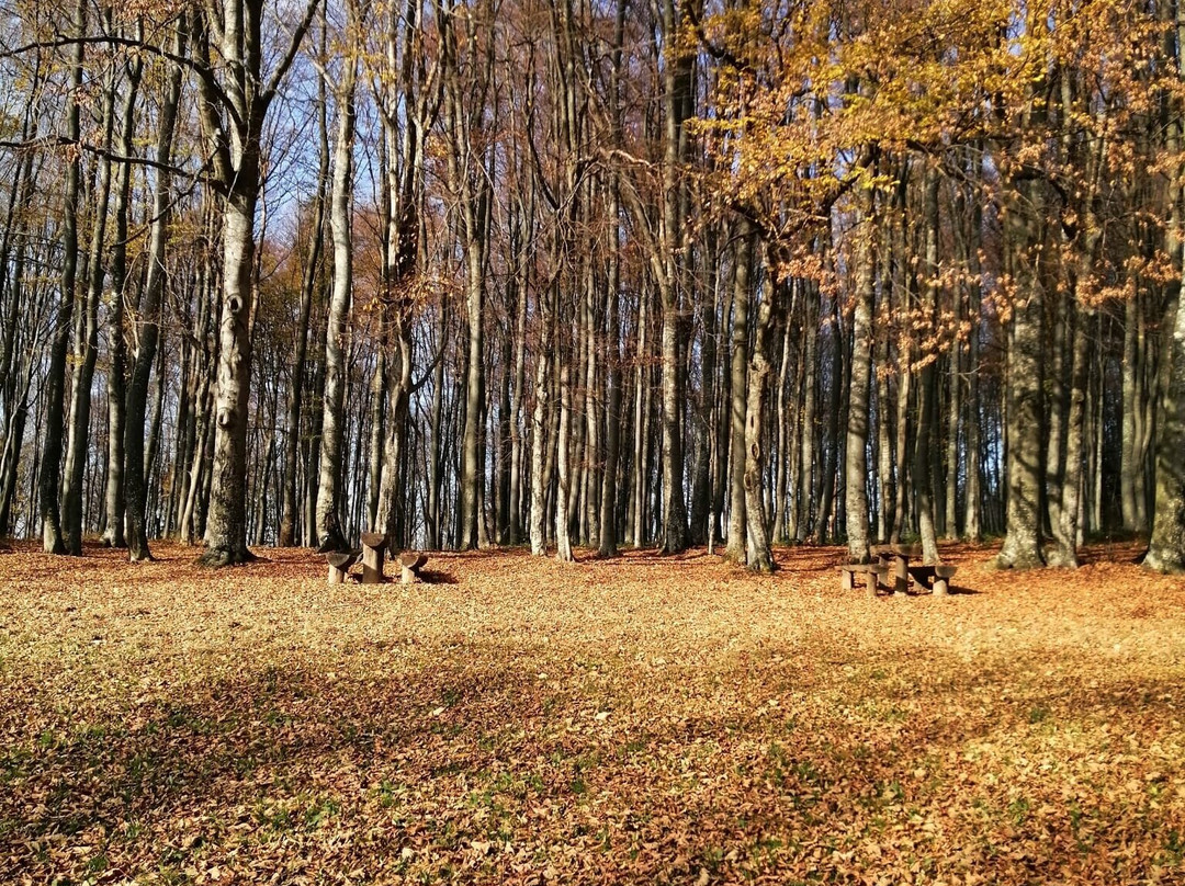 Medvednica mountain (Sljeme)景点图片