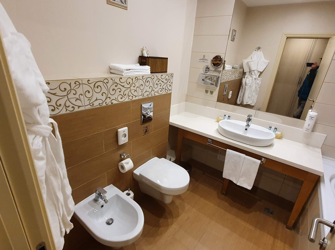 Kulibin Parkhotel & SPA主图